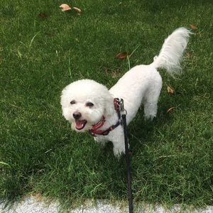 Meet your Posher, Vicky